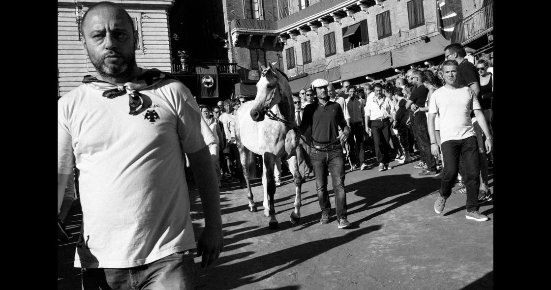 A Man Walking A Horse