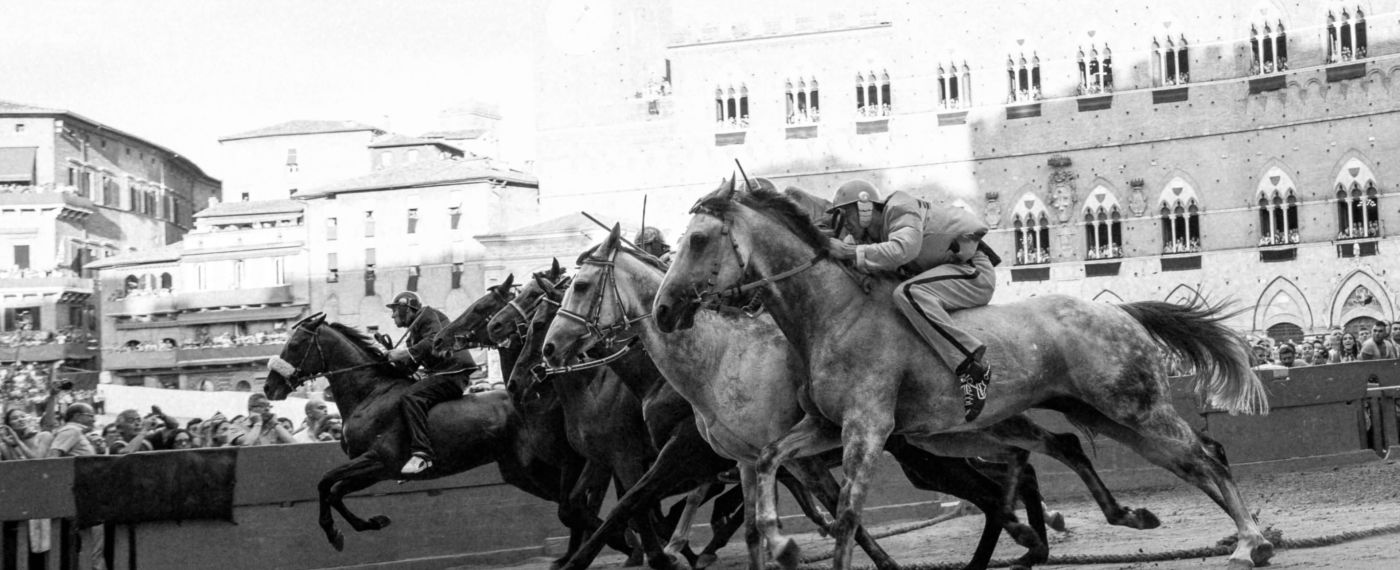 A Group Of Horses Pull A Man On A Horse