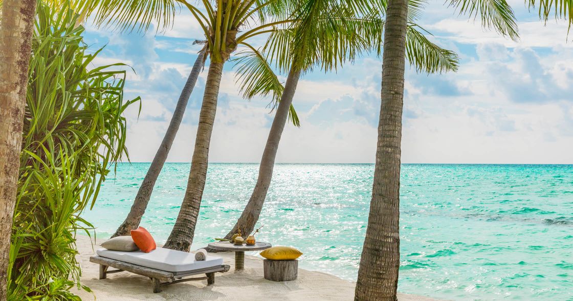 A Lounge Chair And Palm Trees By The Ocean