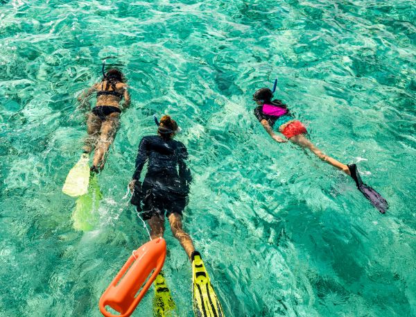 A Group Of People Swimming