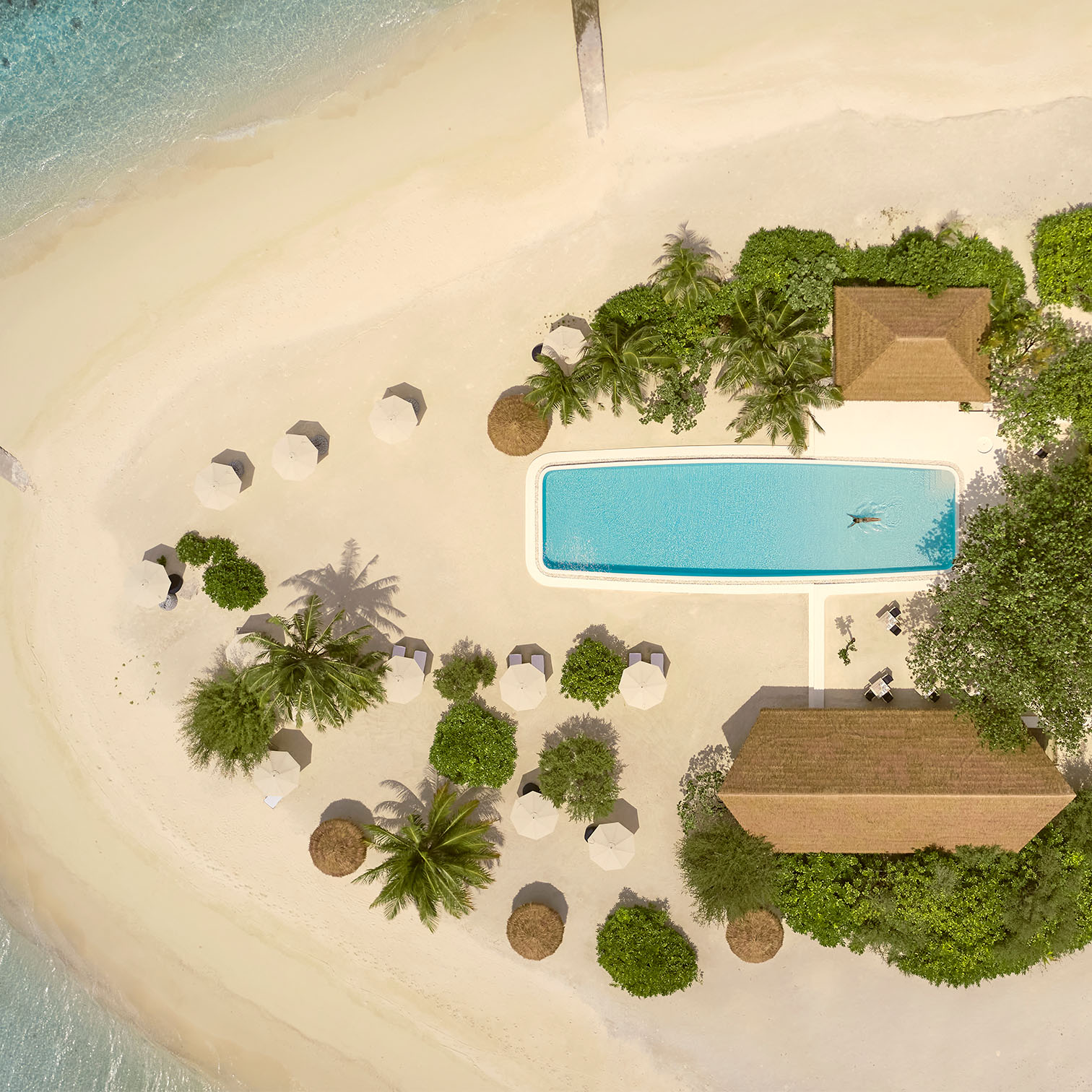 A Pool Surrounded By Trees