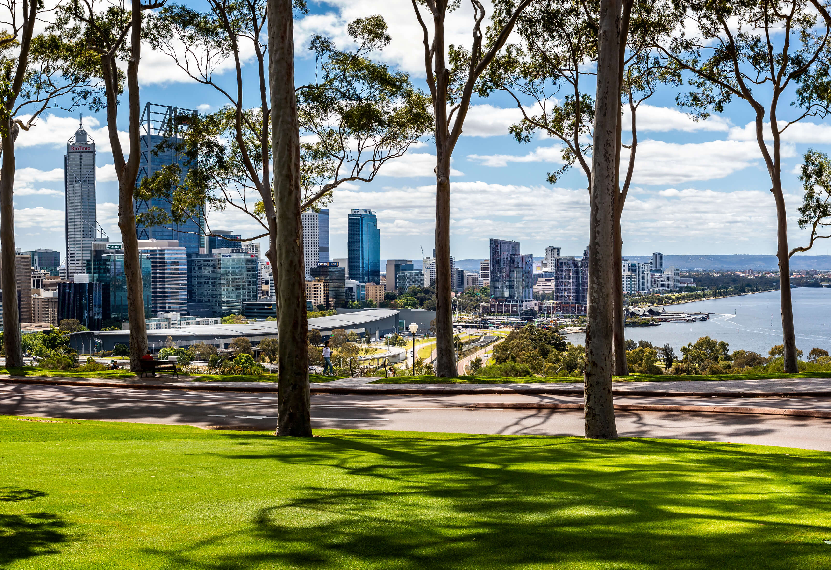 A Park With Trees And A Body Of Water In The Background