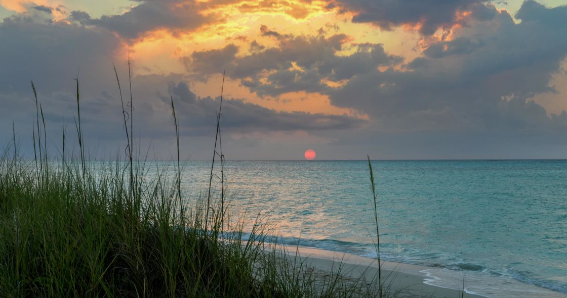 A Beach With Grass And Water
