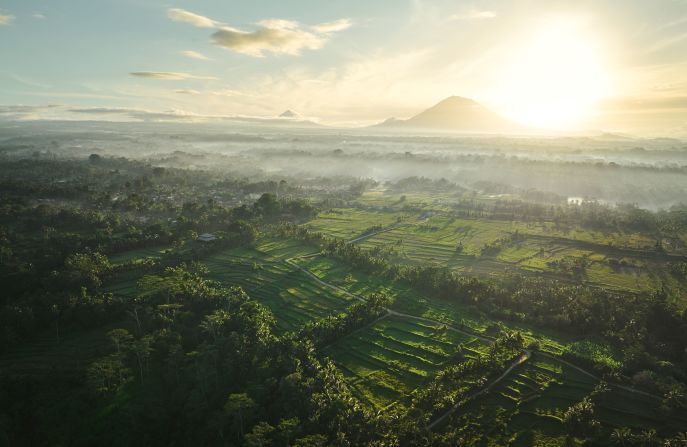 Annual Sustainability Report