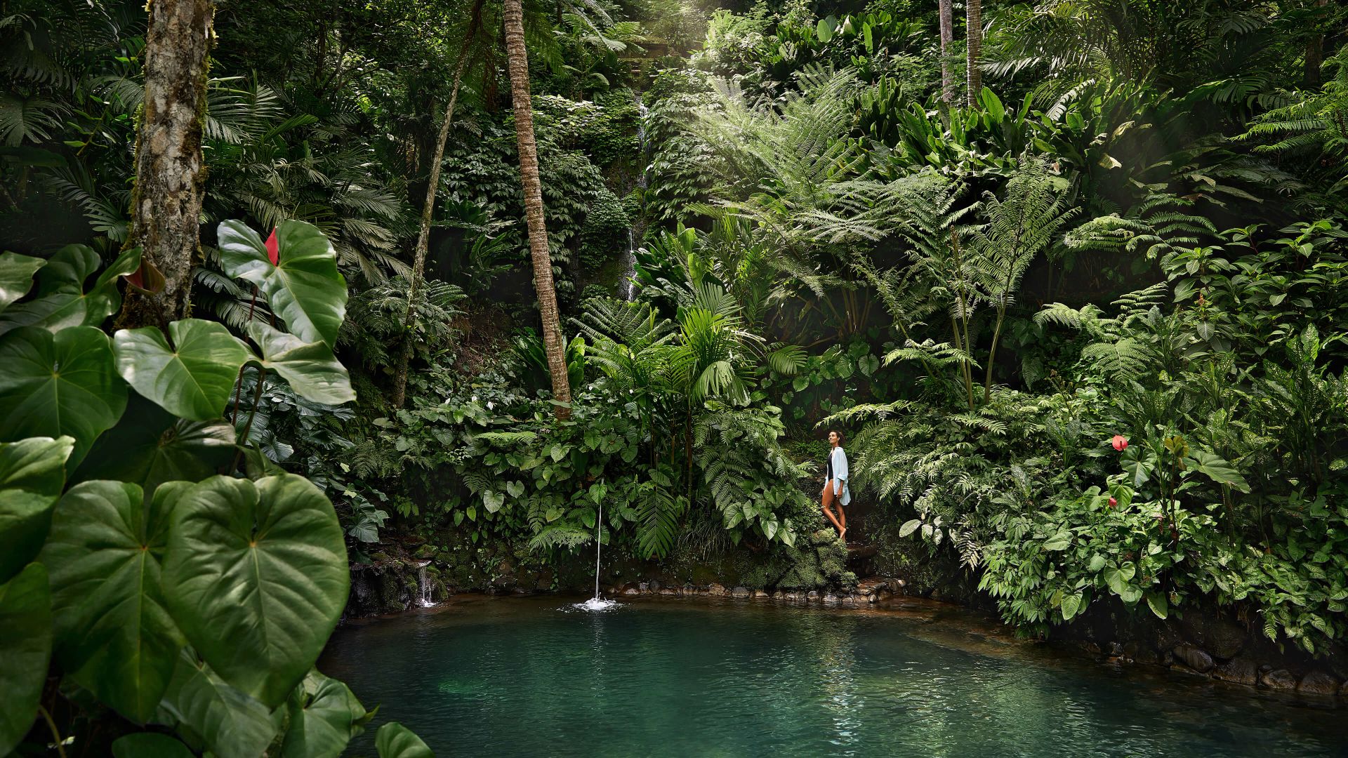 コモ シャンバラ　　　でのウェルネスの　　旅へ Image
