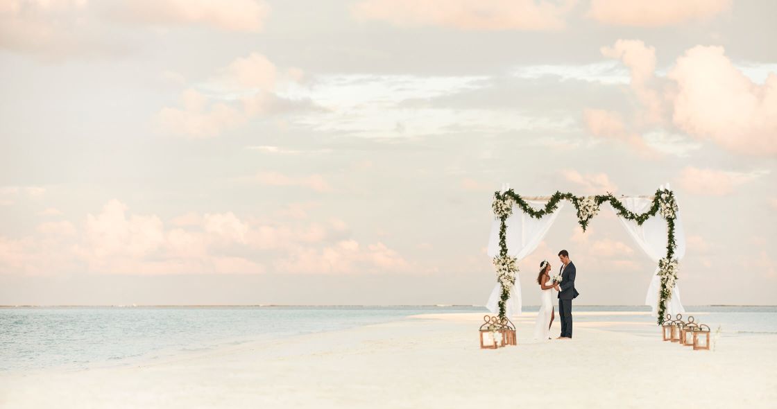A Man And Woman Standing On A Beach With A Tree And A Body Of Water In The Background