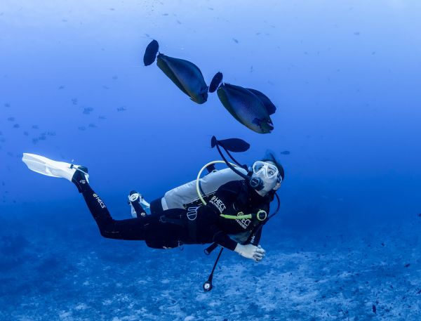 A Scuba Diver Under Water