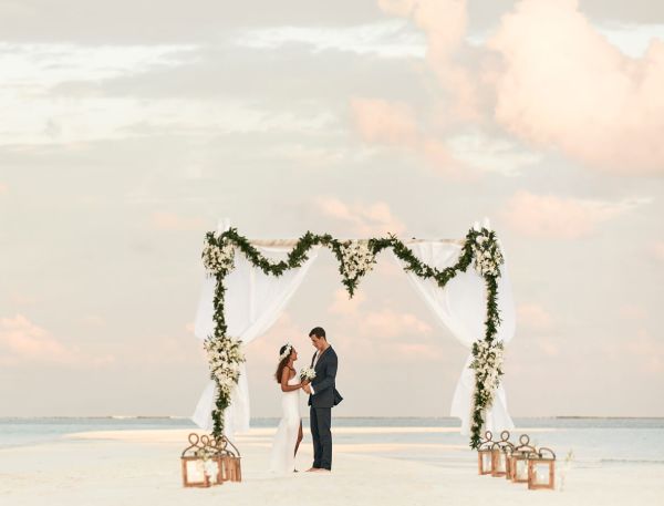 A Man And Woman Standing On A Beach With A Tree And A Body Of Water In The Background