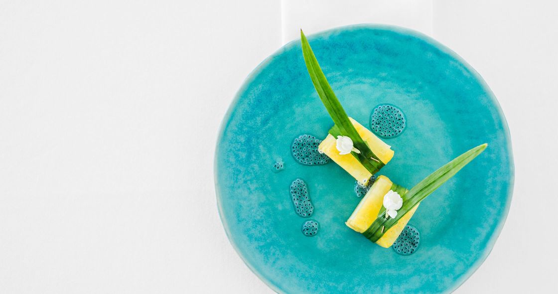 A Blue Plastic Container With A Green Substance And A Green Leaf