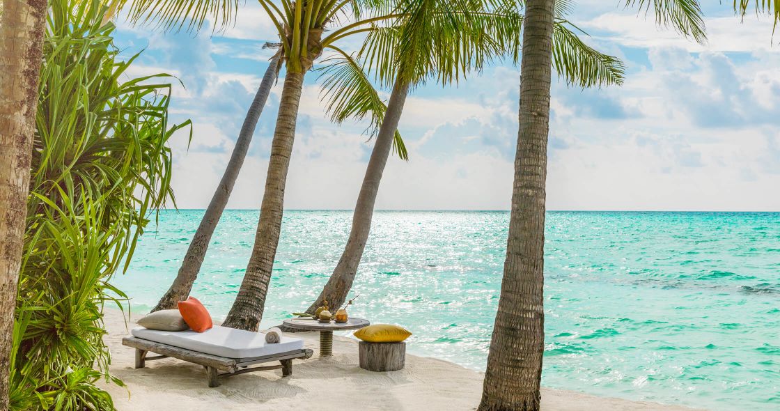 A Lounge Chair And Palm Trees On A Beach