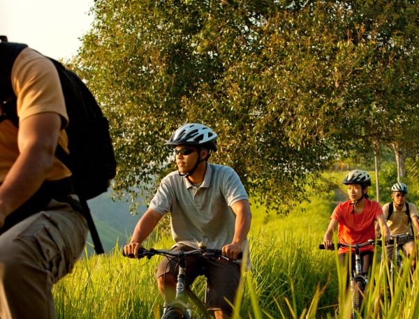 A Group Of People Riding Bikes