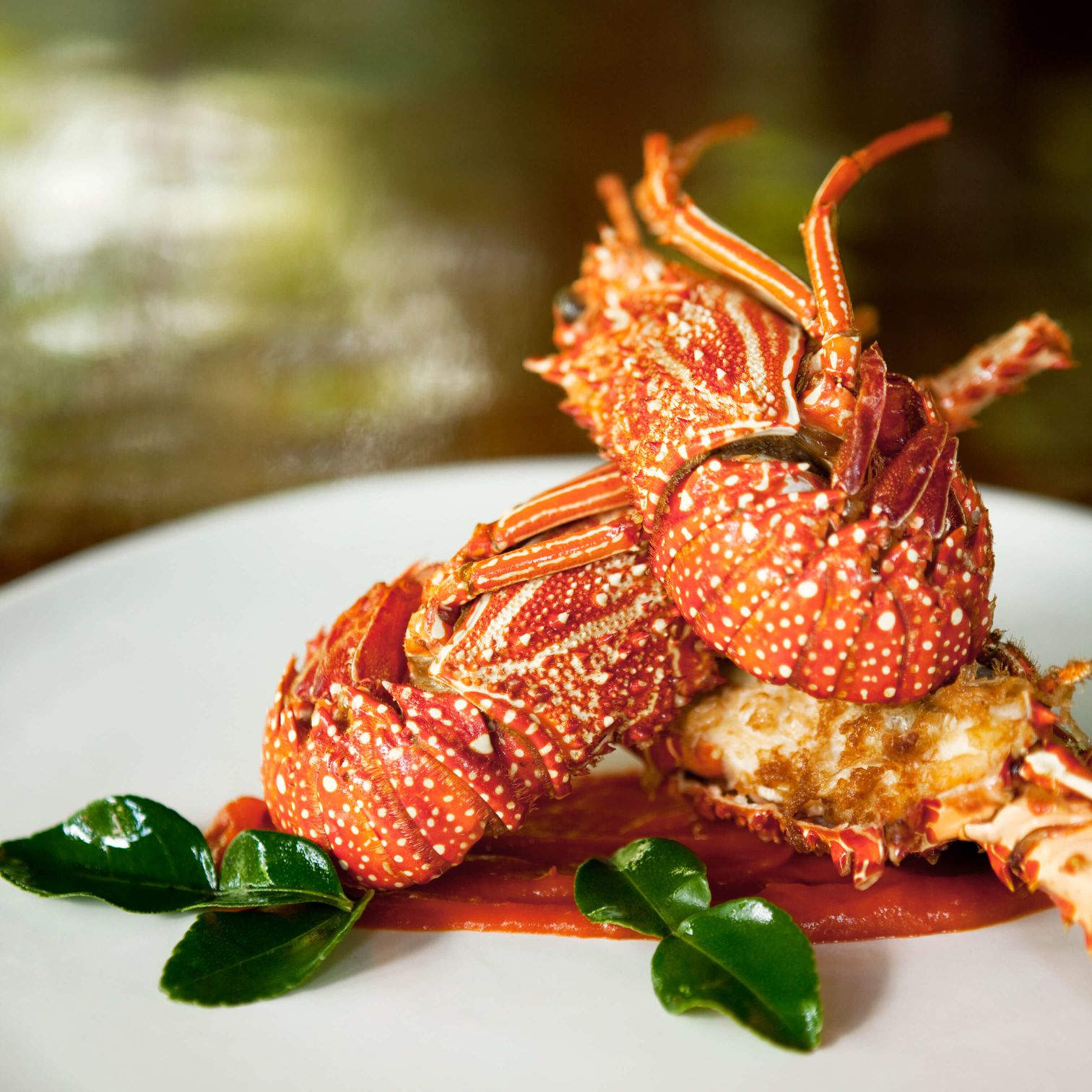 A Close Up Of Some Fruit