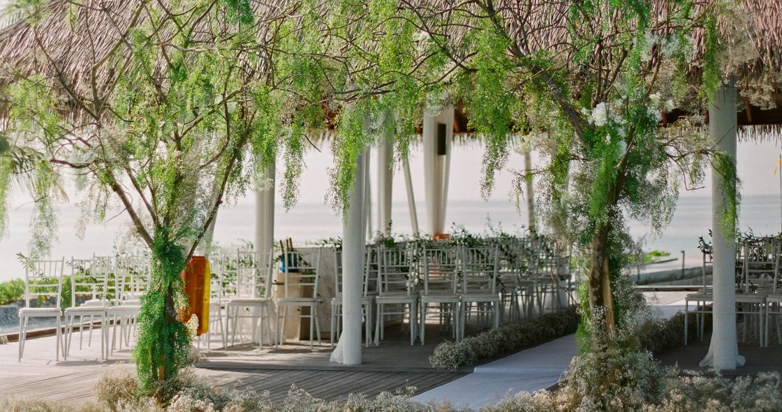 A Courtyard With Trees And Benches