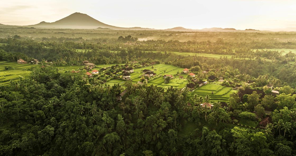 A Landscape With Trees And A Mountain In The Background