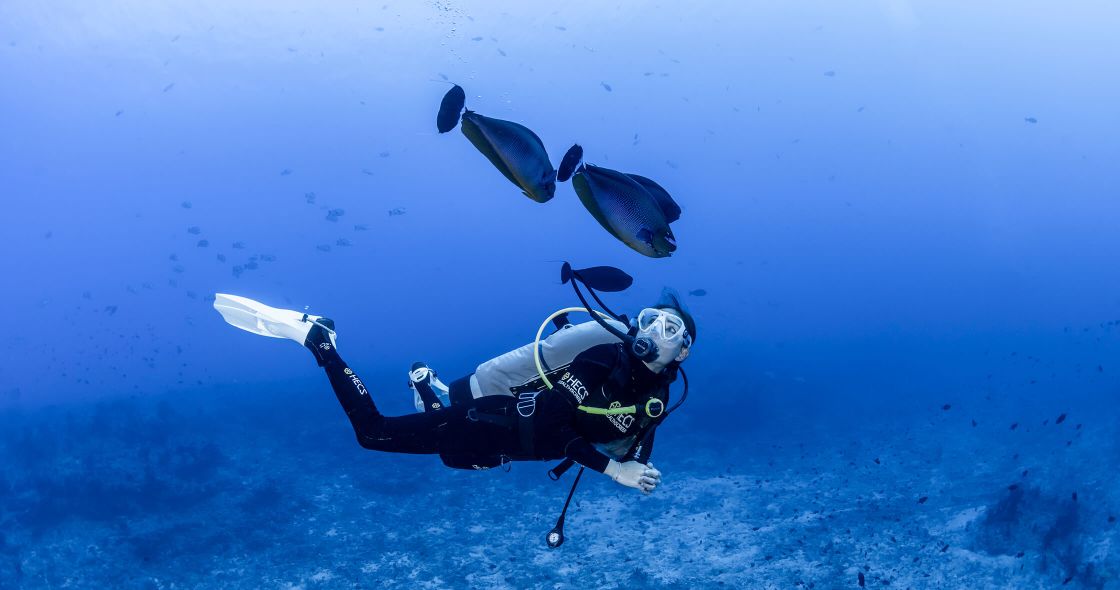 A Scuba Diver And A Shark