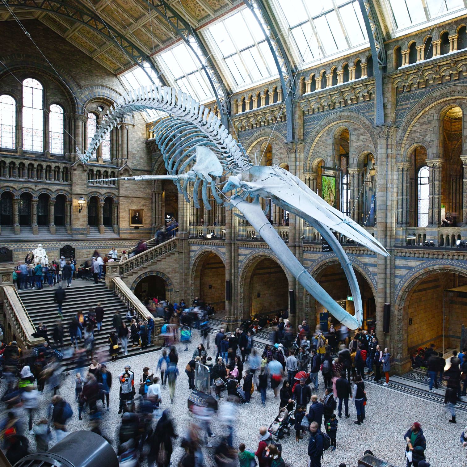 A Large Group Of People In A Large Building With A Large Skeleton