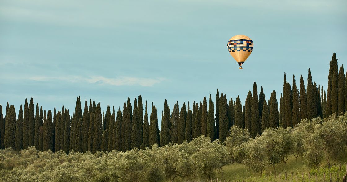 A Hot Air Balloon Over A Cactus