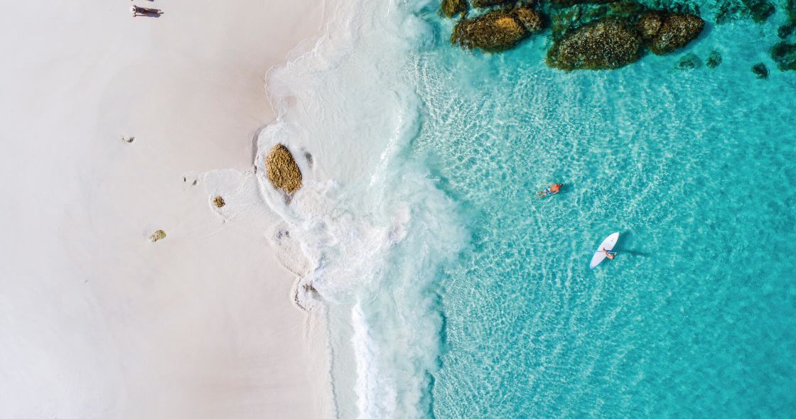 A Group Of Fish Swimming In The Water